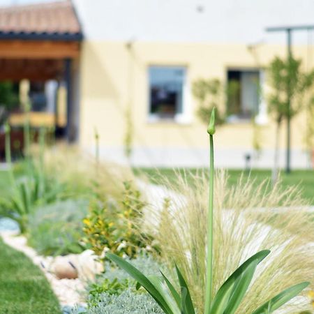 Agriturismo Pepe Rosa Rivoli Veronese Экстерьер фото